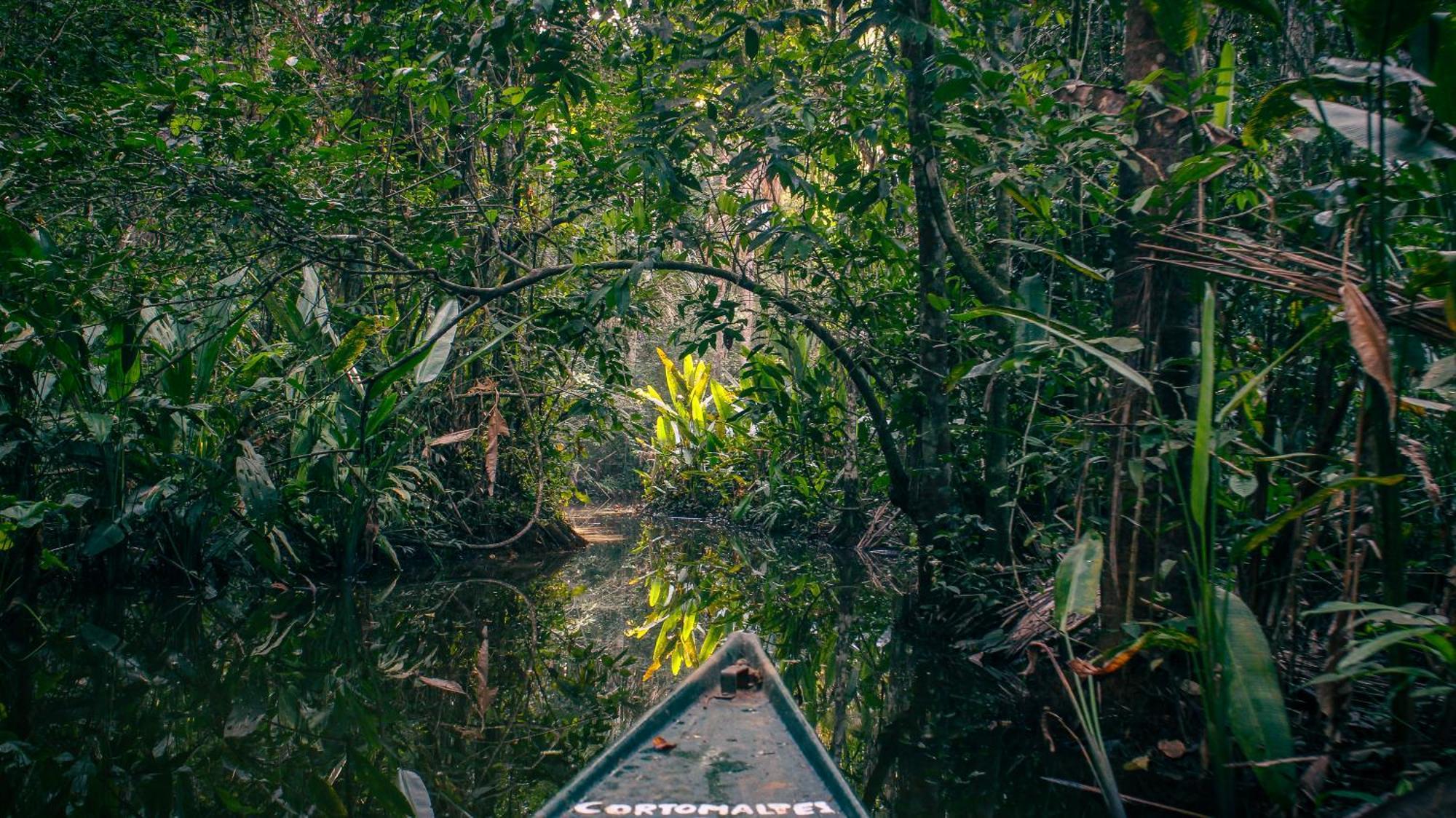 Corto Maltes Amazonia Lodge Puerto Maldonado Exterior photo